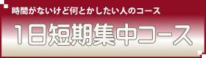 １日短期集中コース